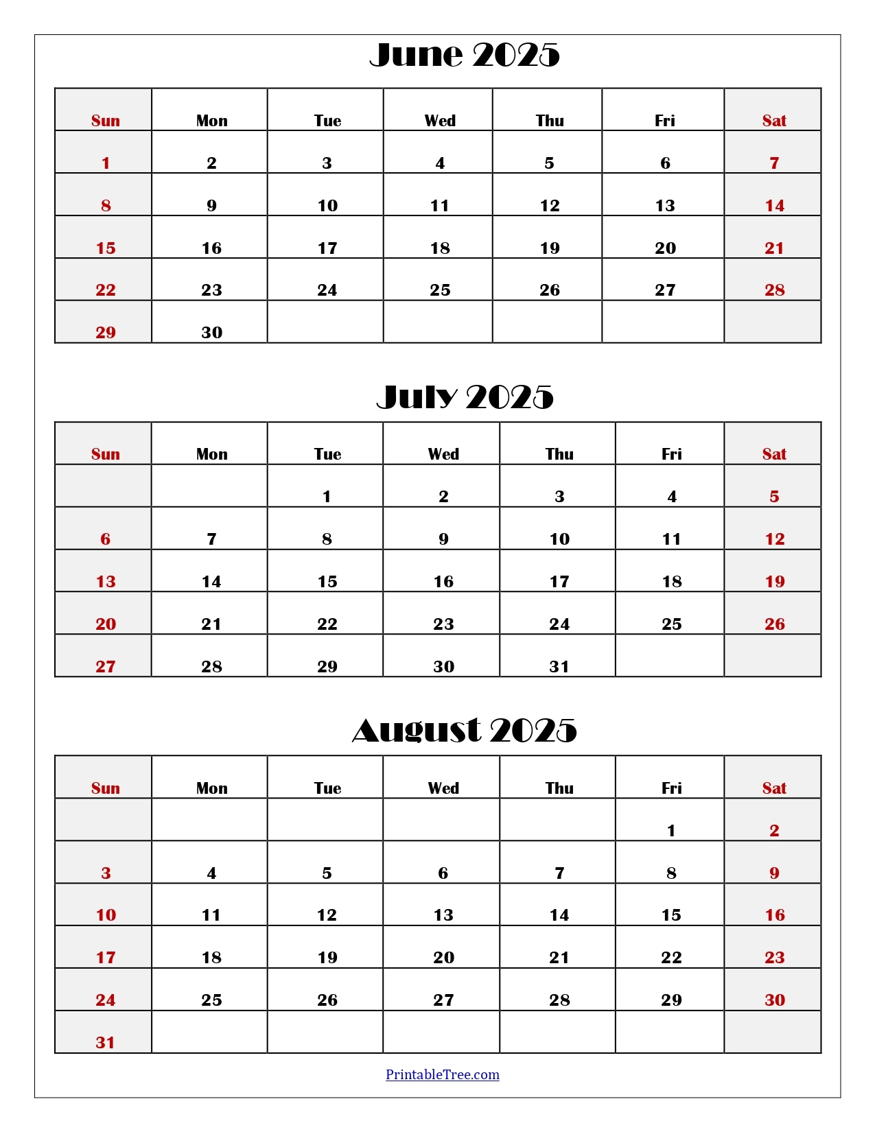 Free Blank Calendar August 2025