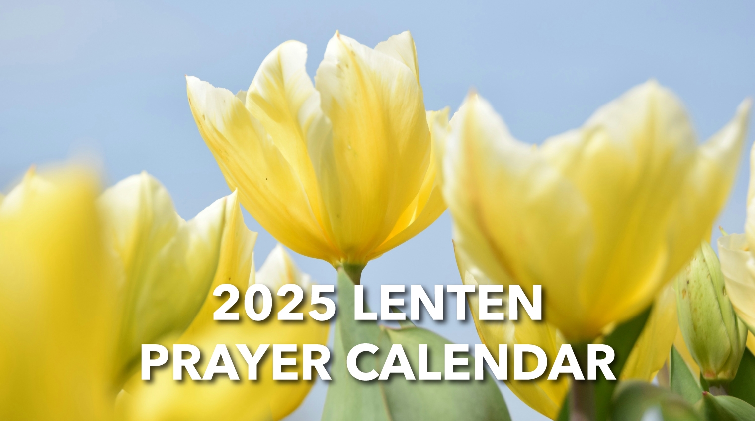 2025 Lenten Prayer Calendar Our Journey Together To Easter Catholic Charities Of New York