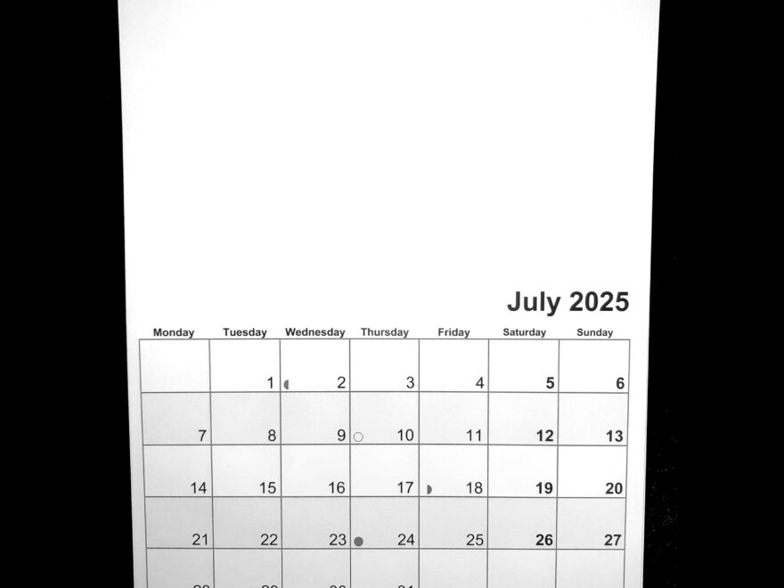A4 Wire Bound 2025 Blank Calendar Planner White Amazon co uk Stationery Office Supplies