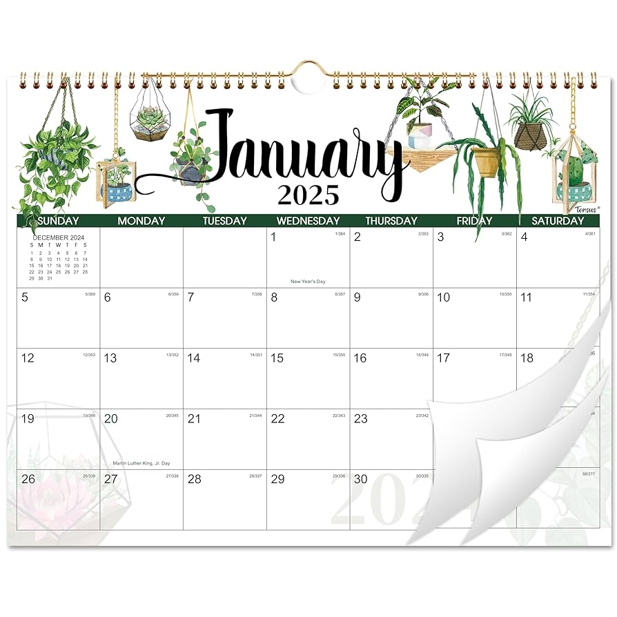 Blank Monthly Calendar 2025 With Holidays