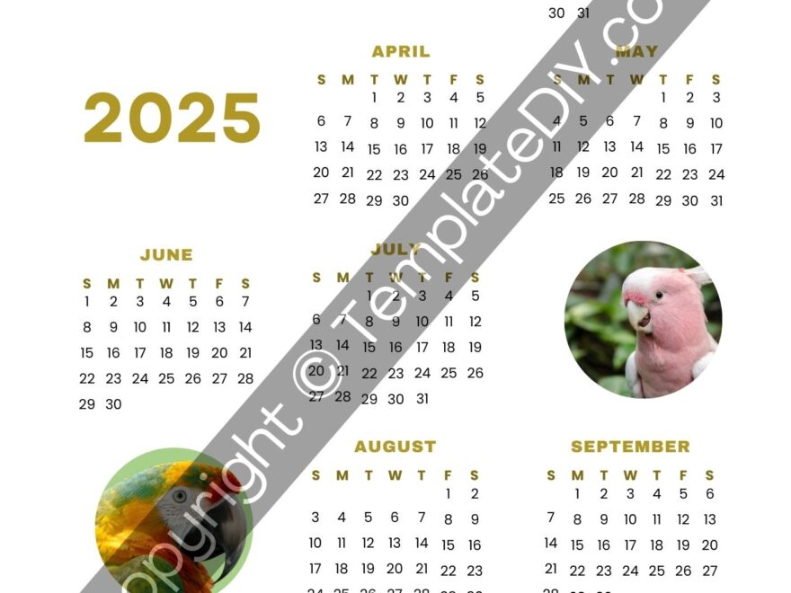 Blank 2025 Calendar Printable Template In PDF Word Excel