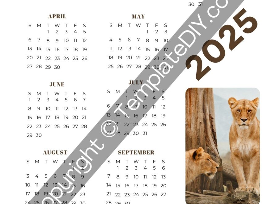 Blank 2025 Calendar Printable Template In PDF Word Excel