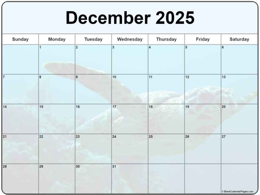 Collection Of December 2025 Photo Calendars With Image Filters
