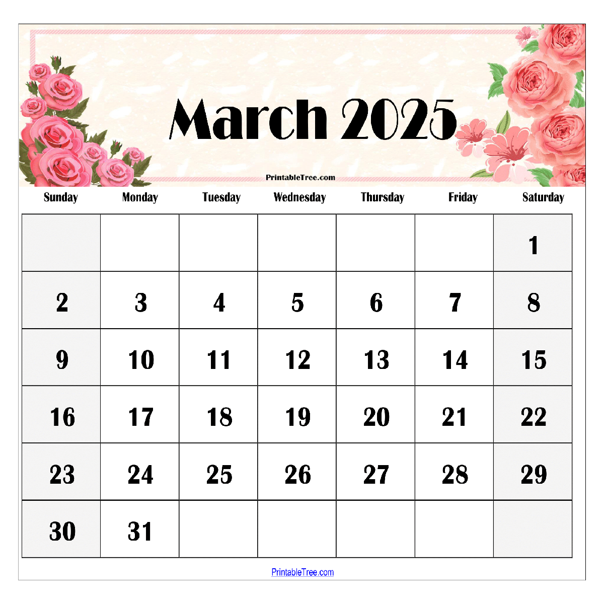 Cute Blank November 2025 Calendar