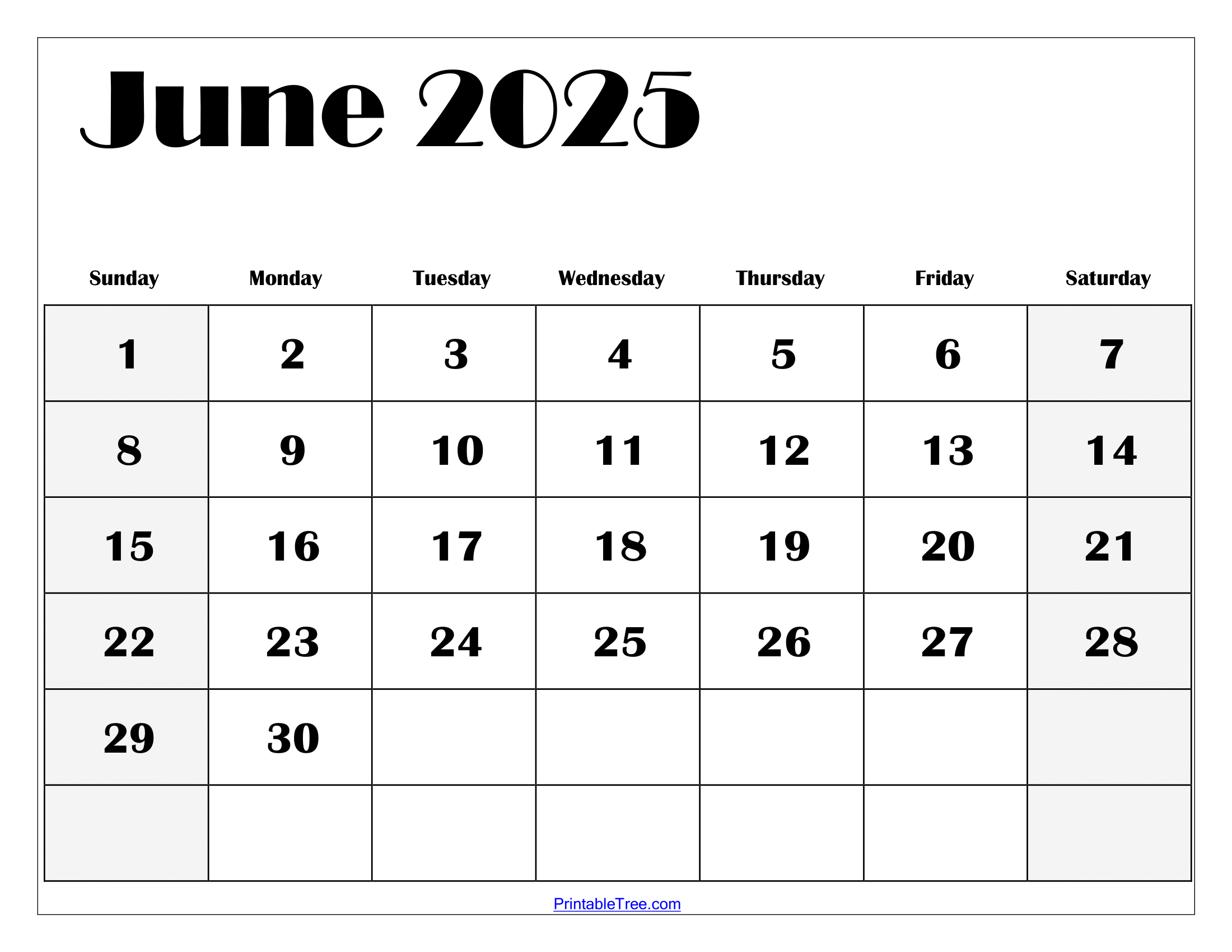 2025 20 Blank Calendar