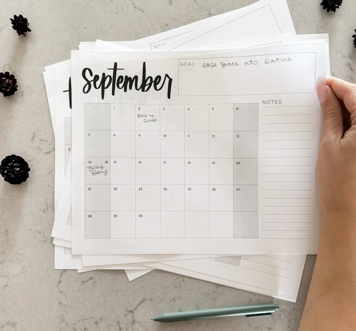 Fun Free Blank 2025 Monthly Calendar