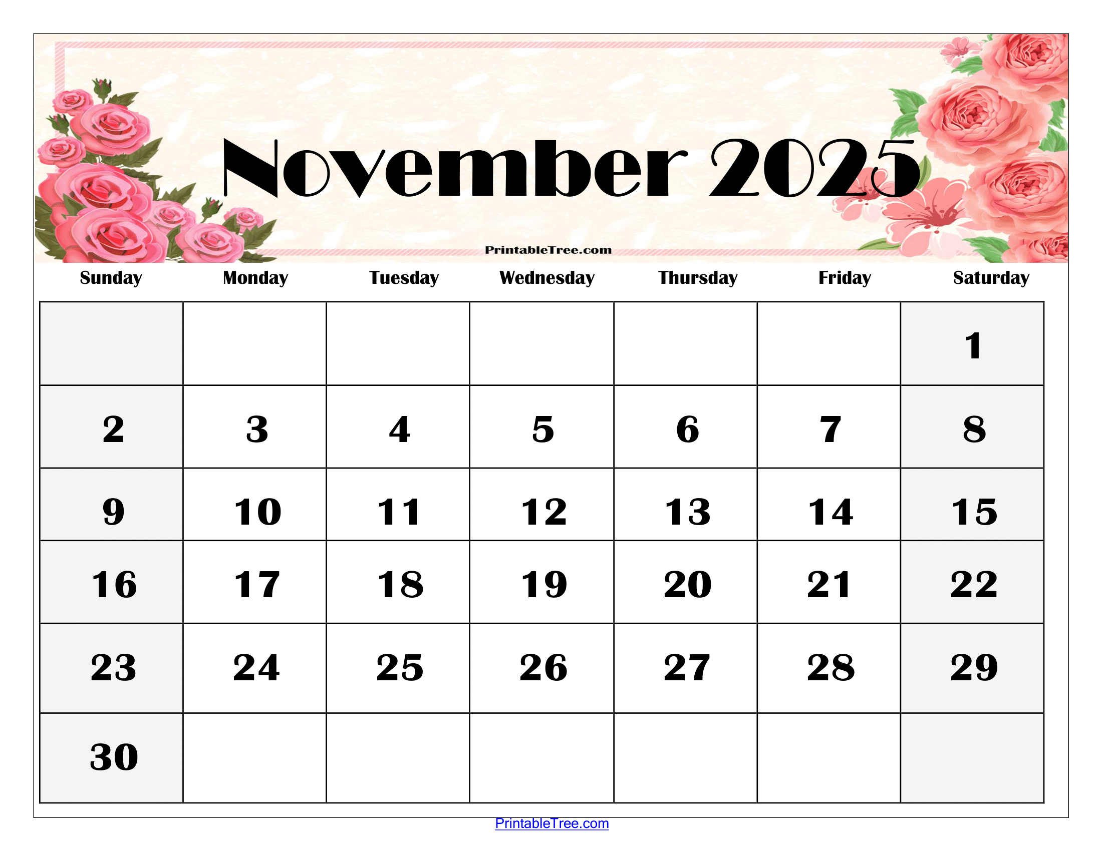 November 2025 Calendar Blank November 2025 Calendar Blank