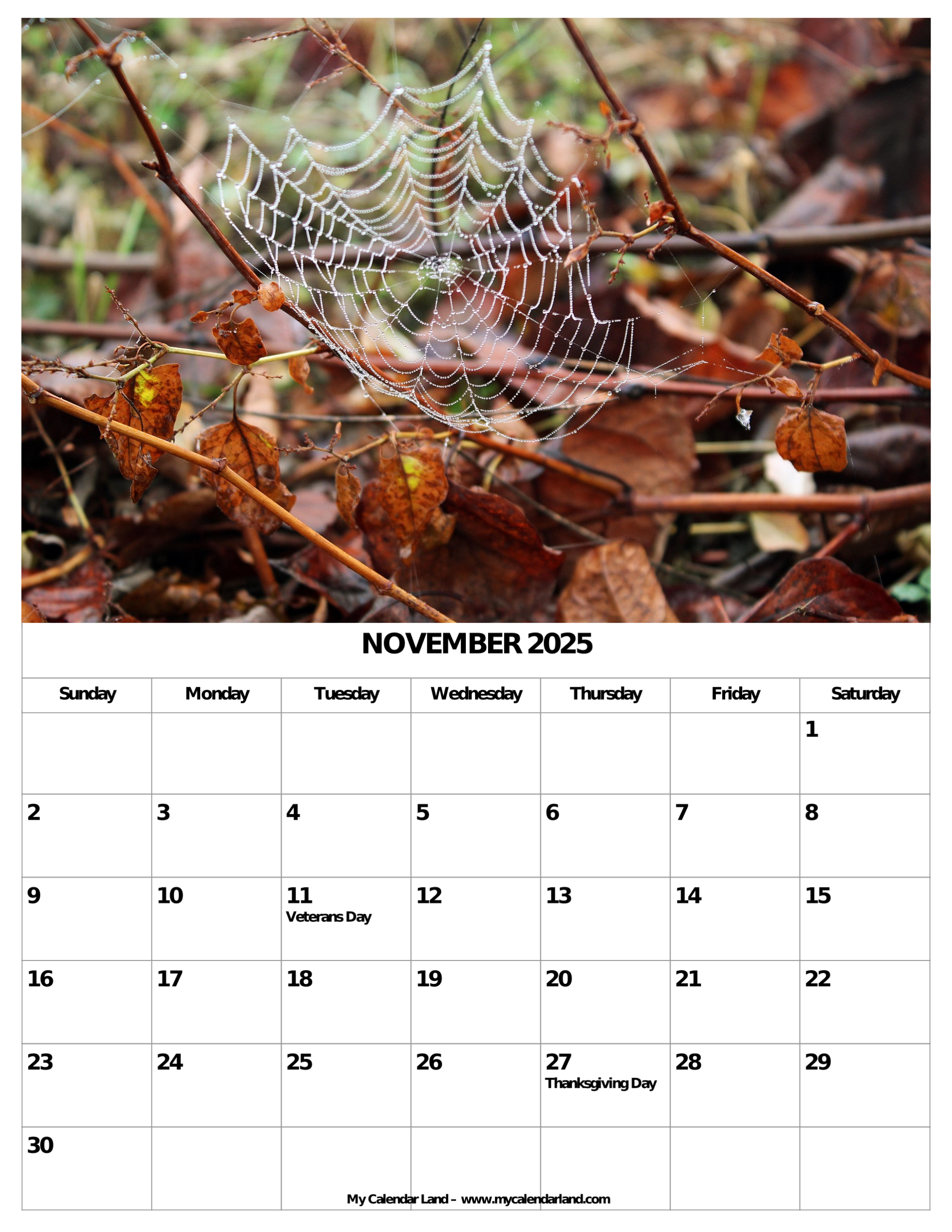 Nov 2025 Calendar Printable