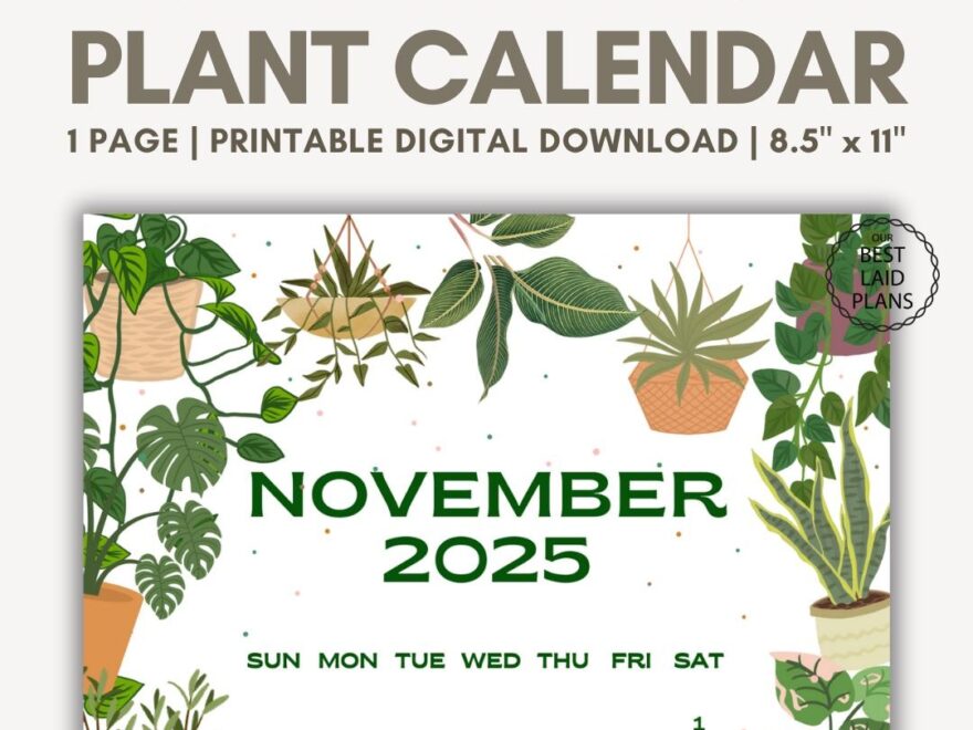 November 2025 Calendar Printable PDF November 2025 Page November 2025 Boho November Calendar 2025 Cute Calendar Nov Cal Digital Download Etsy