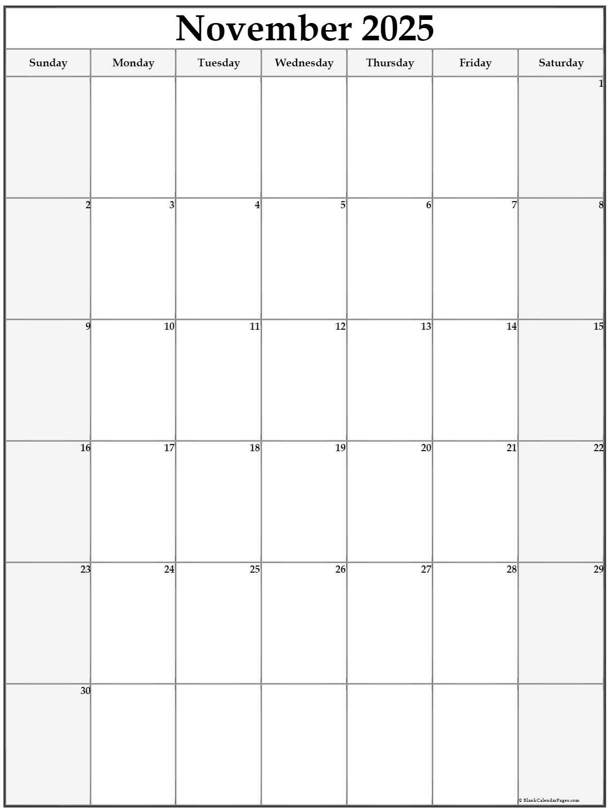 Blank 2025 November Calendar