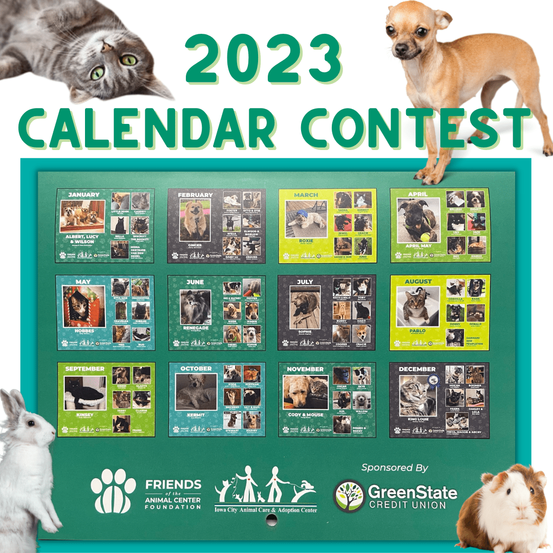 Pet Calendar Contest Printable Alphabet Charts