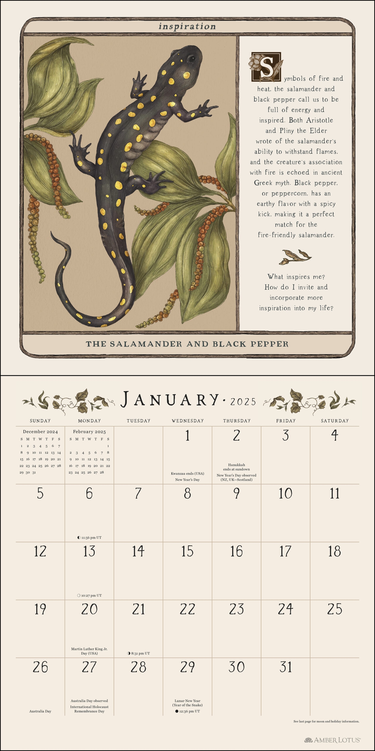Woodland Wardens The Magical Wisdom Of Plants And Animals 2025 Wall Calendar Amber Lotus Woodland Wardens The Magical Wisdom Of Plants And Animals 2025 Wall Calendar Amber Lotus