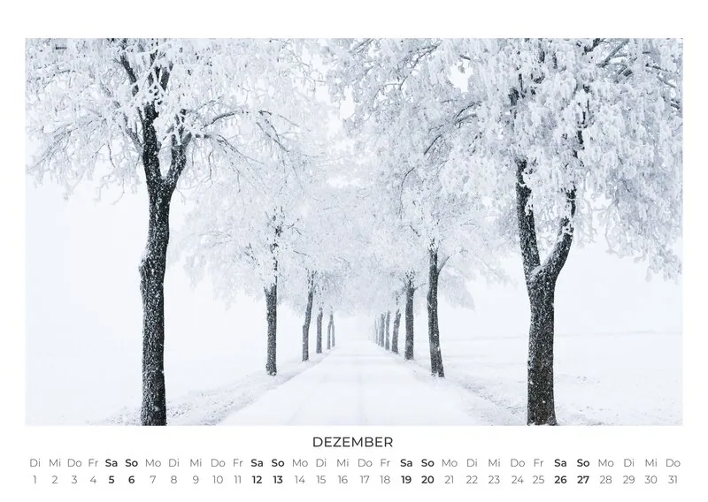 2026 Forest Trees Calendar Shop Now At Photocircle