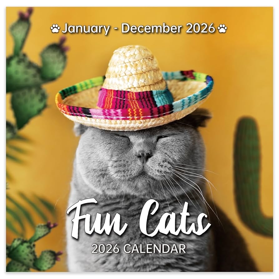 Amazon 2026 Calendar 2026 Wall Calendar Jan 2026 Dec 2026 Funny Cat Calendar 2026 Wall Calendar Gag Gift Funny Cat Memes Pics 12 X 24 Open Unruled Block Hanging Hole Holidays Office Products Amazon 2026 Calendar 2026 Wall Calendar Jan 2026 Dec 2026 Funny Cat Calendar 2026 Wall Calendar Gag Gift Funny Cat Memes Pics 12 X 24 Open Unruled Block Hanging Hole Holidays Office Products