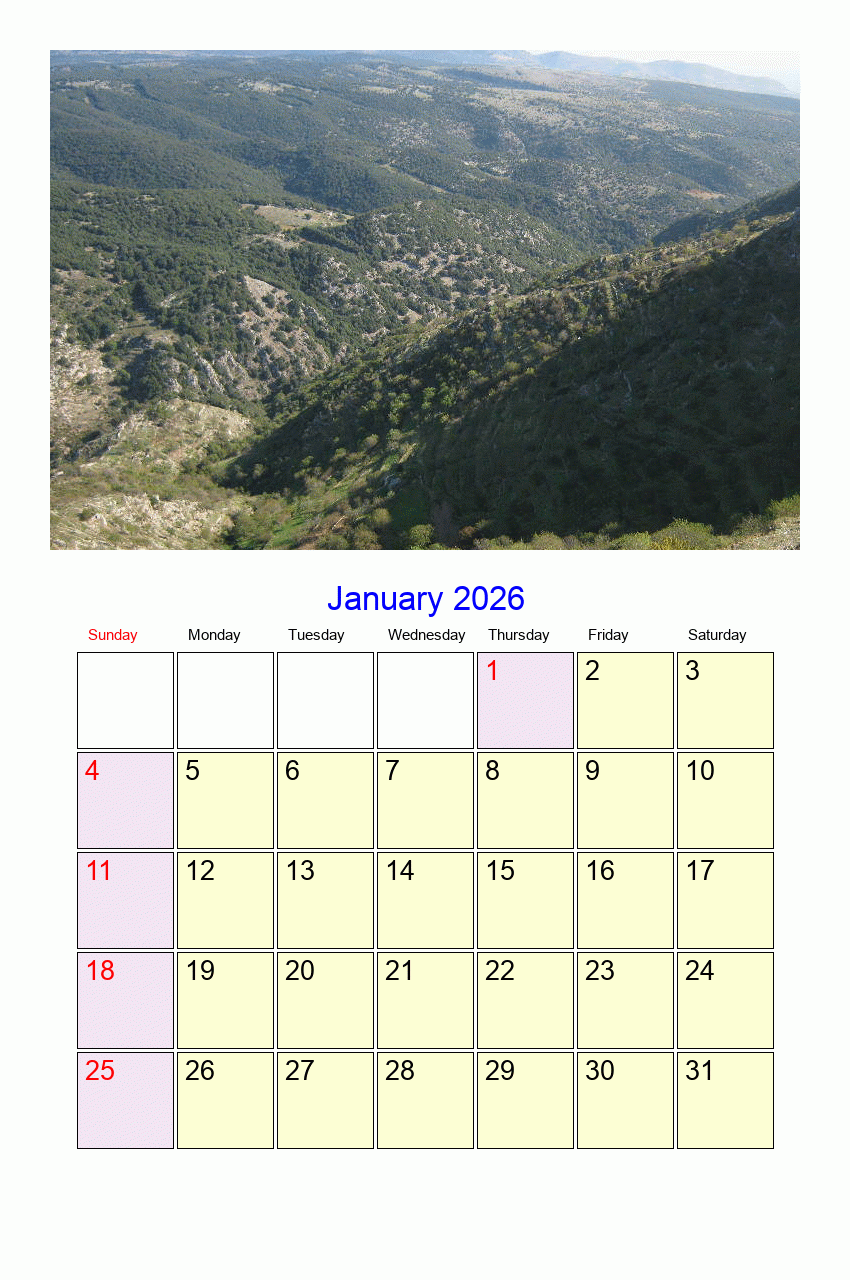 Catholic Calendar January 2026