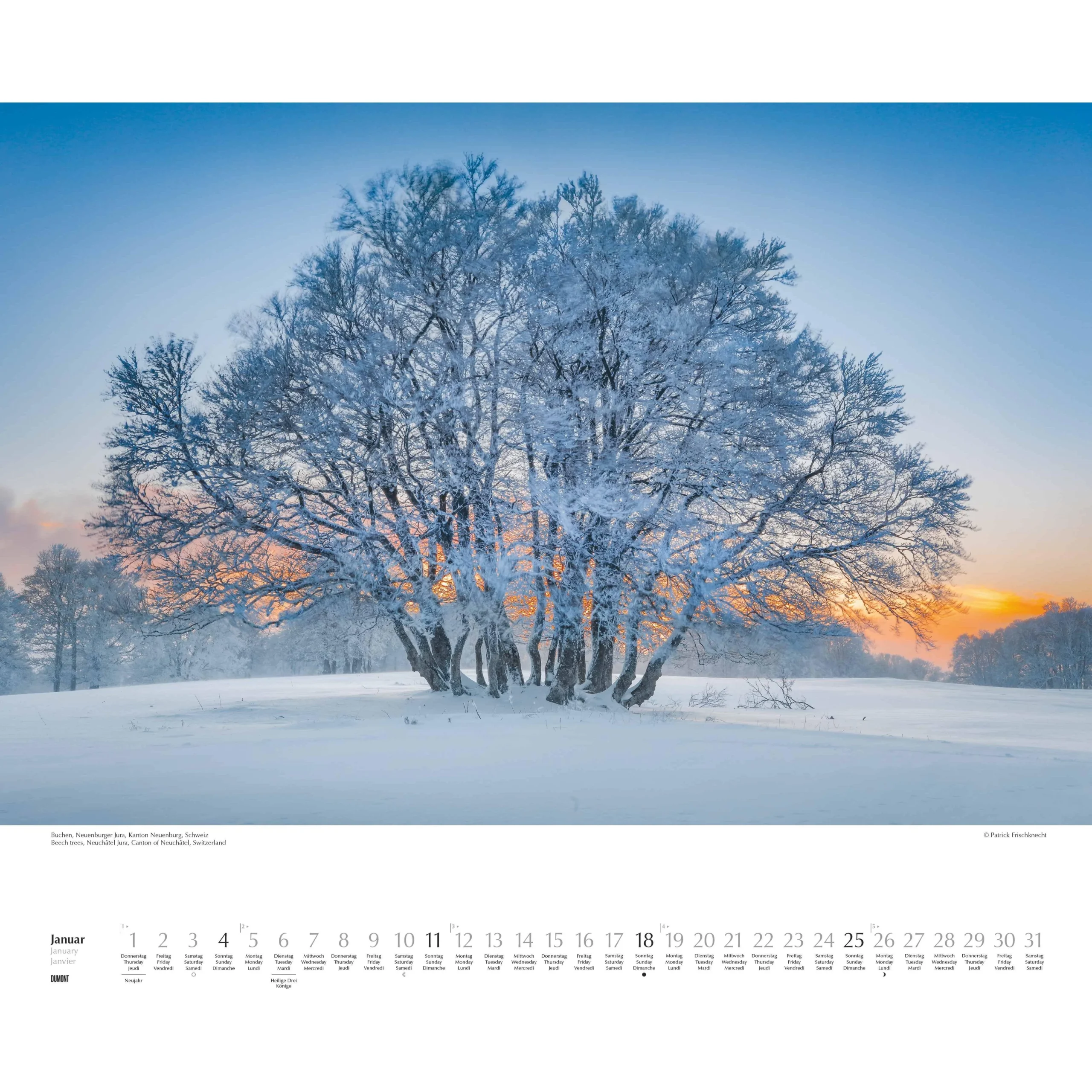 January 2026 Calendar With Snow Backgorund
