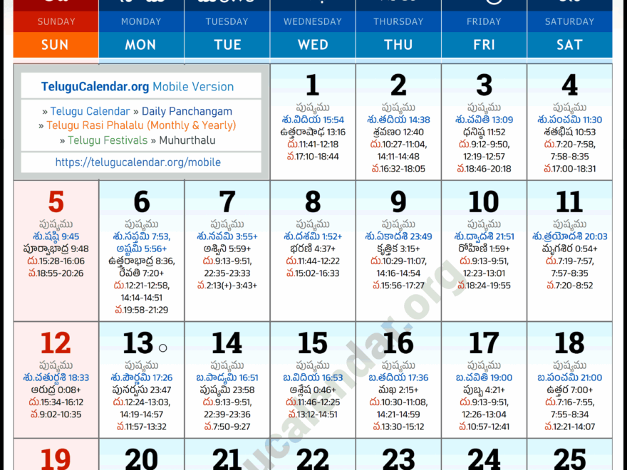 New York Telugu Calendar 2025 January PDF Festivals