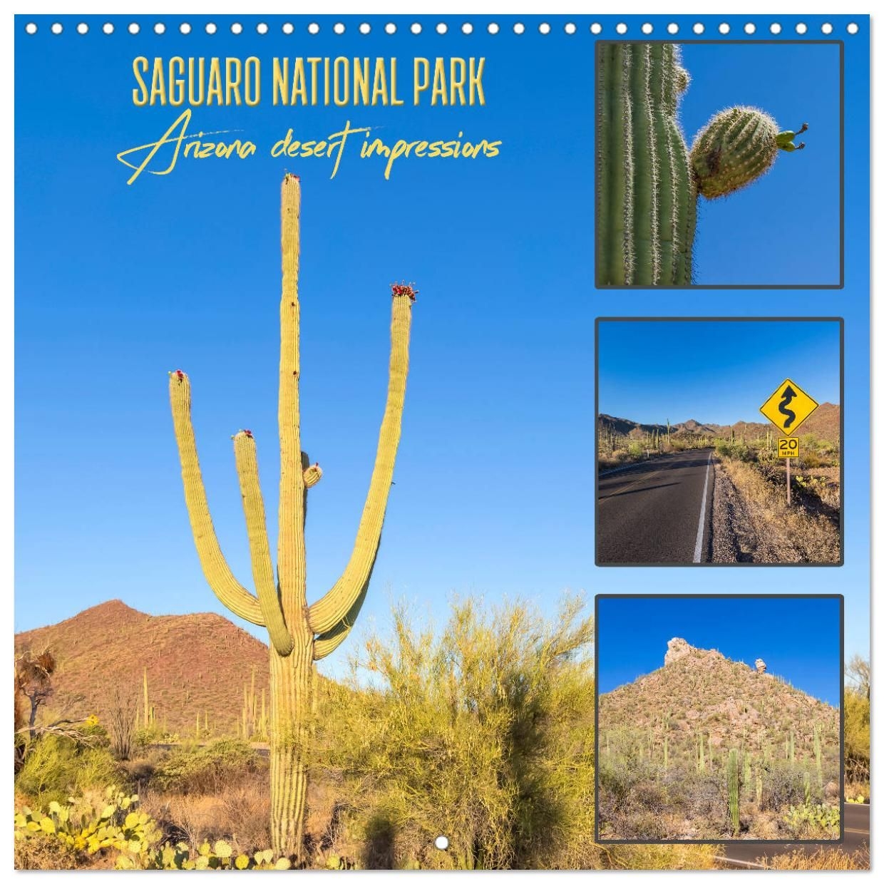 SAGUARO NATIONAL PARK Arizona Desert Impressions Wall Calendar 2026 12 12 Inch CALVENDO 12 Month Wall Calendar Kaufen SAGUARO NATIONAL PARK Arizona Desert Impressions Wall Calendar 2026 12 12 Inch CALVENDO 12 Month Wall Calendar Kaufen